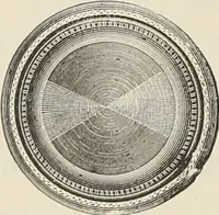 An illustration from Catalogue of Ripka & Co. : importers and manufacturers of artists' materials (1893)
