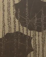 An illustration from Motifs décoratifs tirés des pochoirs japonais / par Th. Lambert (1909)