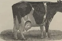 Picture 148 of 186 from Specimens of electrotype cuts, issued by Barnhart Bros. & Spindler (1900), leaf 105