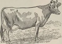 Picture 150 of 186 from Specimens of electrotype cuts, issued by Barnhart Bros. & Spindler (1900), leaf 106