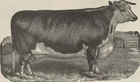 Picture 151 of 186 from Specimens of electrotype cuts, issued by Barnhart Bros. & Spindler (1900), leaf 106