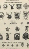 Picture 11 of 186 from Specimens of electrotype cuts, issued by Barnhart Bros. & Spindler (1900), leaf 15