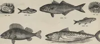 An illustration from Specimens of electrotype cuts, issued by Barnhart Bros. & Spindler (1900)