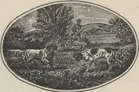 Picture 56 of 186 from Specimens of electrotype cuts, issued by Barnhart Bros. & Spindler (1900), leaf 56