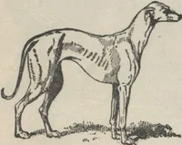 Picture 57 of 186 from Specimens of electrotype cuts, issued by Barnhart Bros. & Spindler (1900), leaf 56