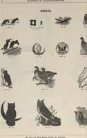 Picture 59 of 186 from Specimens of electrotype cuts, issued by Barnhart Bros. & Spindler (1900), leaf 58