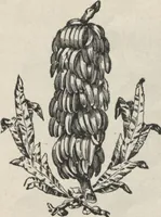 An illustration from Specimens of electrotype cuts, issued by Barnhart Bros. & Spindler (1900)