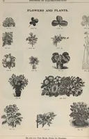 An illustration from Specimens of electrotype cuts, issued by Barnhart Bros. & Spindler (1900)