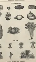 Picture 65 of 186 from Specimens of electrotype cuts, issued by Barnhart Bros. & Spindler (1900), leaf 61