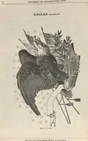 An illustration from Specimens of electrotype cuts, issued by Barnhart Bros. & Spindler (1900)