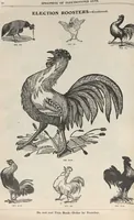 Picture 86 of 186 from Specimens of electrotype cuts, issued by Barnhart Bros. & Spindler (1900), leaf 74