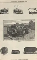 Picture 113 of 186 from Specimens of electrotype cuts, issued by Barnhart Bros. & Spindler (1900), leaf 88