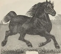 An illustration from Specimens of electrotype cuts, issued by Barnhart Bros. & Spindler (1900)