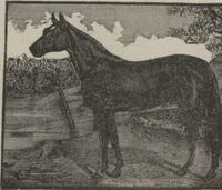 Picture 130 of 186 from Specimens of electrotype cuts, issued by Barnhart Bros. & Spindler (1900), leaf 93