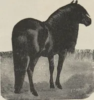 An illustration from Specimens of electrotype cuts, issued by Barnhart Bros. & Spindler (1900)