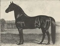 Picture 134 of 186 from Specimens of electrotype cuts, issued by Barnhart Bros. & Spindler (1900), leaf 94