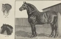 Picture 139 of 186 from Specimens of electrotype cuts, issued by Barnhart Bros. & Spindler (1900), leaf 98