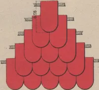 Picture 244 of 327 from Union des tuileries du centre (1903), leaf 223