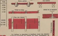 Picture 302 of 327 from Union des tuileries du centre (1903), leaf 295