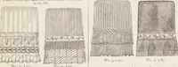 Picture 68 of 107 from Catalogue : Spring and Summer : of silks, dress goods, cloths, millinery (etc.) (1882), leaf 109