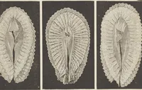 Picture 57 of 107 from Catalogue : Spring and Summer : of silks, dress goods, cloths, millinery (etc.) (1882), leaf 91