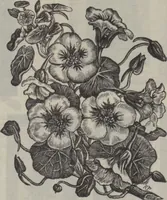 Picture 186 of 265 from The Gimbel book : Paris, London, and American styles (1910), leaf 162