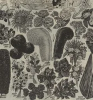 Picture 66 of 265 from The Gimbel book : Paris, London, and American styles (1910), leaf 68