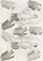 An illustration from W. J. Mahon's catalogs for men's fashions (Fall & Winter, 1909-10 v.2) (1909)