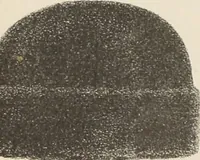 Picture 33 of 41 from Lamson & Hubbard, manufacturers of ladies' furs of every description : wholesale and retail (1890), leaf 65
