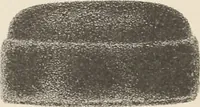 An illustration from Lamson & Hubbard, manufacturers of ladies' furs of every description : wholesale and retail (1890)