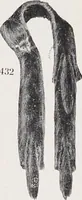 An illustration from Album de fourrures (1906)