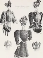 Picture 3 of 26 from Album de fourrures (1906), leaf 6