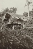 Picture 15 of 79 from Forschungen im Innern der Insel Neuguinea : (Bericht des Führers über die wissenschaftlichen Ergebnisse der deutschen Grenzexpedition in das westliche Kaiser-Wilhelmsland 1910) (1914), leaf 140
