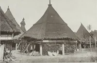 Picture 18 of 79 from Forschungen im Innern der Insel Neuguinea : (Bericht des Führers über die wissenschaftlichen Ergebnisse der deutschen Grenzexpedition in das westliche Kaiser-Wilhelmsland 1910) (1914), leaf 142