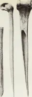 Picture 45 of 79 from Forschungen im Innern der Insel Neuguinea : (Bericht des Führers über die wissenschaftlichen Ergebnisse der deutschen Grenzexpedition in das westliche Kaiser-Wilhelmsland 1910) (1914), leaf 167