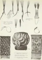 Picture 48 of 79 from Forschungen im Innern der Insel Neuguinea : (Bericht des Führers über die wissenschaftlichen Ergebnisse der deutschen Grenzexpedition in das westliche Kaiser-Wilhelmsland 1910) (1914), leaf 172