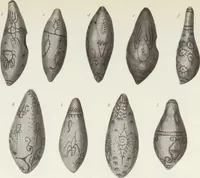 Picture 52 of 79 from Forschungen im Innern der Insel Neuguinea : (Bericht des Führers über die wissenschaftlichen Ergebnisse der deutschen Grenzexpedition in das westliche Kaiser-Wilhelmsland 1910) (1914), leaf 174