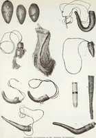 Picture 53 of 79 from Forschungen im Innern der Insel Neuguinea : (Bericht des Führers über die wissenschaftlichen Ergebnisse der deutschen Grenzexpedition in das westliche Kaiser-Wilhelmsland 1910) (1914), leaf 177
