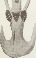 Picture 58 of 79 from Forschungen im Innern der Insel Neuguinea : (Bericht des Führers über die wissenschaftlichen Ergebnisse der deutschen Grenzexpedition in das westliche Kaiser-Wilhelmsland 1910) (1914), leaf 184