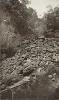 Picture 73 of 79 from Forschungen im Innern der Insel Neuguinea : (Bericht des Führers über die wissenschaftlichen Ergebnisse der deutschen Grenzexpedition in das westliche Kaiser-Wilhelmsland 1910) (1914), leaf 214