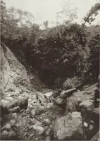 Picture 74 of 79 from Forschungen im Innern der Insel Neuguinea : (Bericht des Führers über die wissenschaftlichen Ergebnisse der deutschen Grenzexpedition in das westliche Kaiser-Wilhelmsland 1910) (1914), leaf 214