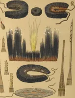 Picture 5 of 50 from Ethnographische beschrijving van de west- en noord-kust van Nederlandsch Nieuw-Guinea / door F.S.A. de Clercq met medewerking van J.D.E. Schmeltz ... Met bijvoeging eener schets der ethnographie van Duitsch en Britsch Nieuw-Guinea. Met 42 platen en 51 tekstillustraties (1893), leaf 328
