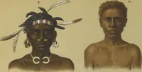 An illustration from Ethnographische beschrijving van de west- en noord-kust van Nederlandsch Nieuw-Guinea / door F.S.A. de Clercq met medewerking van J.D.E. Schmeltz ... Met bijvoeging eener schets der ethnographie van Duitsch en Britsch Nieuw-Guinea. Met 42 platen en 51 tekstillustraties (1893)