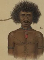 An illustration from Ethnographische beschrijving van de west- en noord-kust van Nederlandsch Nieuw-Guinea / door F.S.A. de Clercq met medewerking van J.D.E. Schmeltz ... Met bijvoeging eener schets der ethnographie van Duitsch en Britsch Nieuw-Guinea. Met 42 platen en 51 tekstillustraties (1893)