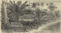 Picture 4 of 50 from Ethnographische beschrijving van de west- en noord-kust van Nederlandsch Nieuw-Guinea / door F.S.A. de Clercq met medewerking van J.D.E. Schmeltz ... Met bijvoeging eener schets der ethnographie van Duitsch en Britsch Nieuw-Guinea. Met 42 platen en 51 tekstillustraties (1893), leaf 74
