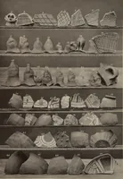 Picture 12 of 41 from Alt-Mexico : Archäologische Beiträge zur Kulturgeschichte seiner Bewohner : [volume 2] / von Hermann Strebel (1885), leaf 193