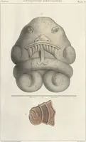 Picture 9 of 190 from Antiquités mexicaines : relation des trois expéditions du capitaine Dupaix, ordonnées en 1805, 1806, et 1807, pour la recherche des antiquités du pays, notamment celles de Mitla et de Palenque : [atlas] / accompagnée des dessins de Castañeda et d'une carte du pays exploré ; suivie d'un parallèle de ces monuments avec ceux de l'Égypte, de l'Indostan, et du reste de l'ancien monde, par M. Alexandre Lenoir, d'une dissertation sur l'origine de l'ancienne population des deux Amériques et sur les diverses antiquités de ce continent, par M. Warden, avec un discours préliminaire par M. Charles Farcy, et des notes explicatives, et autres documents, par MM. Baradère, de St. Priest, et plusieurs voyageurs que ont parcouru l'Amérique (1834), leaf 13