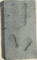 An illustration from Antiquités mexicaines : relation des trois expéditions du capitaine Dupaix, ordonnées en 1805, 1806, et 1807, pour la recherche des antiquités du pays, notamment celles de Mitla et de Palenque : [atlas] / accompagnée des dessins de Castañeda et d'une carte du pays exploré ; suivie d'un parallèle de ces monuments avec ceux de l'Égypte, de l'Indostan, et du reste de l'ancien monde, par M. Alexandre Lenoir, d'une dissertation sur l'origine de l'ancienne population des deux Amériques et sur les diverses antiquités de ce continent, par M. Warden, avec un discours préliminaire par M. Charles Farcy, et des notes explicatives, et autres documents, par MM. Baradère, de St. Priest, et plusieurs voyageurs que ont parcouru l'Amérique (1834)