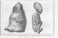An illustration from Messico e Guatemala / di De Larenaudière (1845)