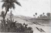 Picture 76 of 76 from Messico e Guatemala / di De Larenaudière (1845), leaf 714
